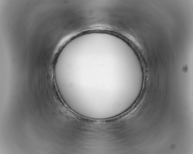 X0000094171358200710260900