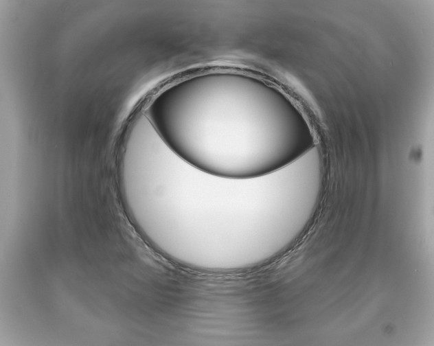 X0000094171360200710260900