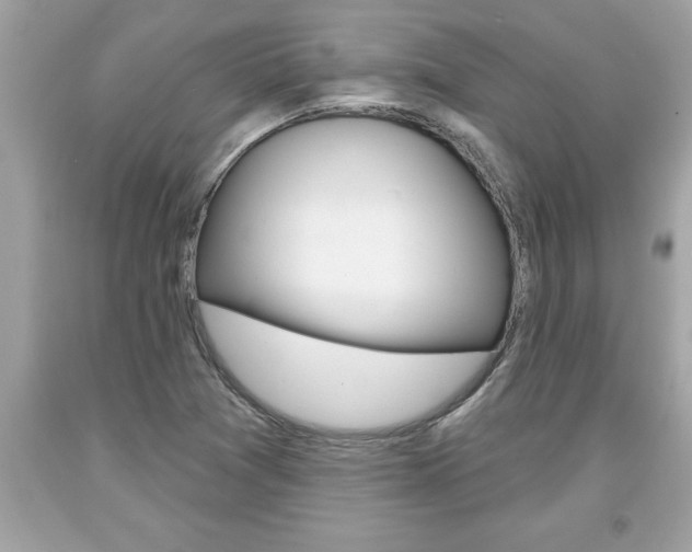 X0000094171361200710260900