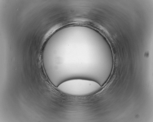 X0000094171362200710260859