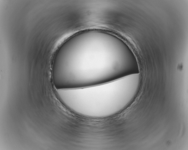 X0000094171363200710260859