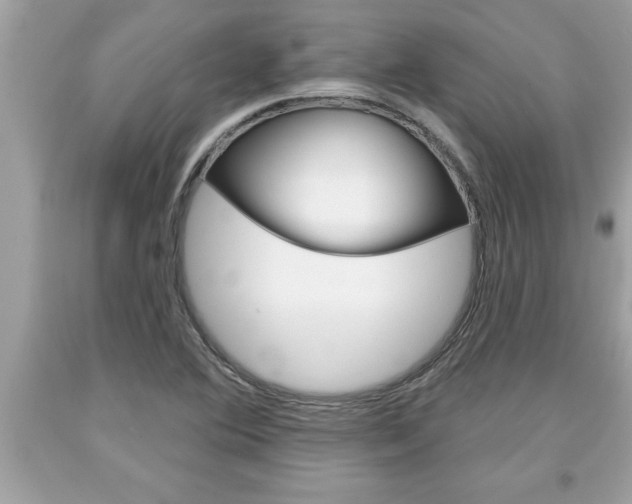X0000094171364200710260859