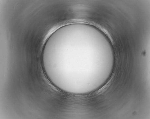 X0000094171365200710260859