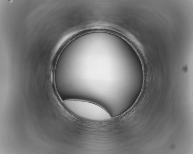 X0000094171368200710260859
