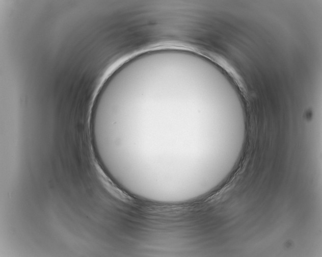 X0000094171372200710260859