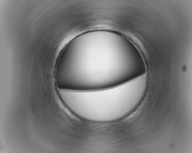 X0000094171373200710260859