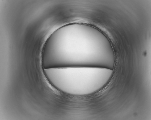 X0000094171375200710260859
