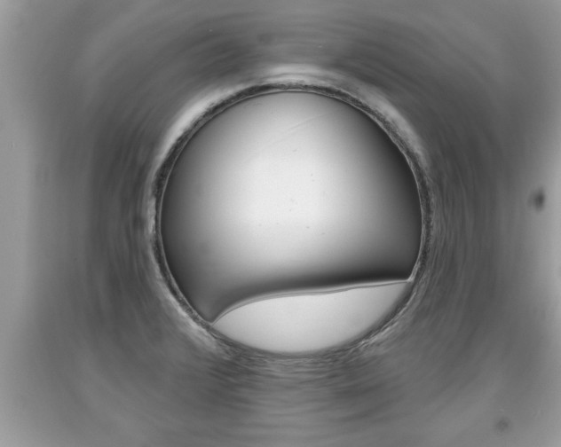 X0000094171376200710260859