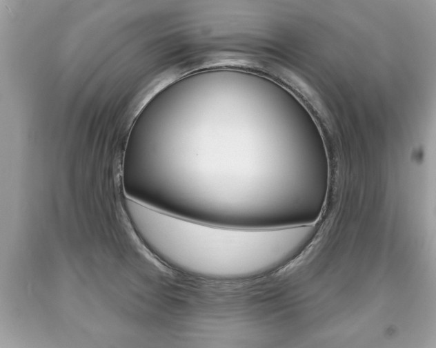 X0000094171377200710260859