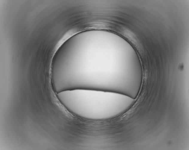 X0000094171378200710260859