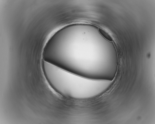 X0000094171379200710260859