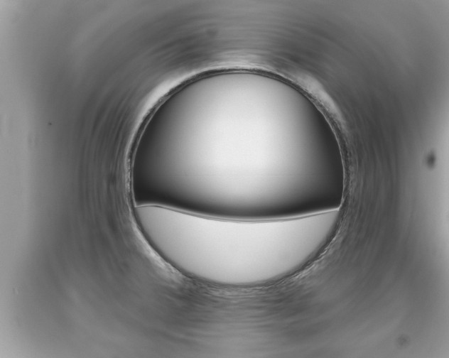 X0000094171380200710260859