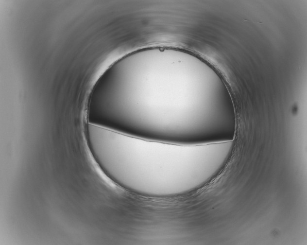 X0000094171383200710260859