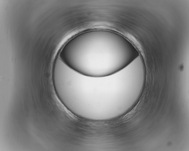 X0000094171384200710260859