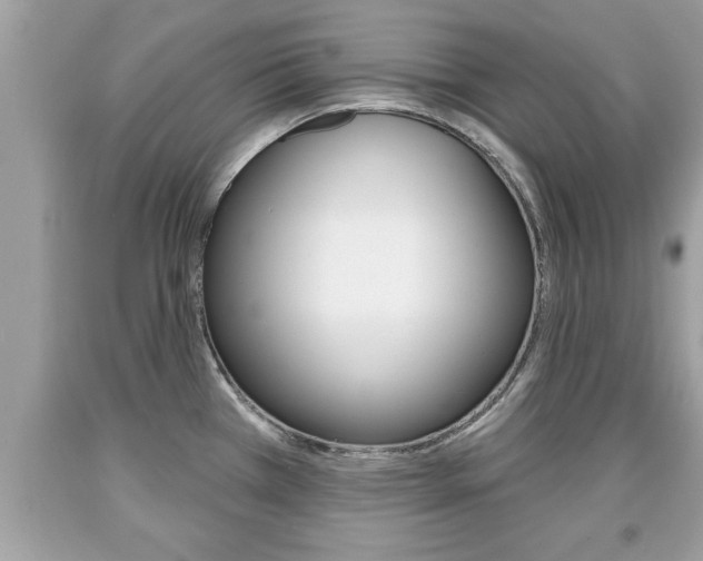 X0000094171385200710260859