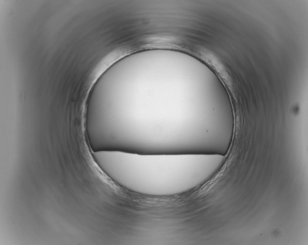 X0000094171386200710260859