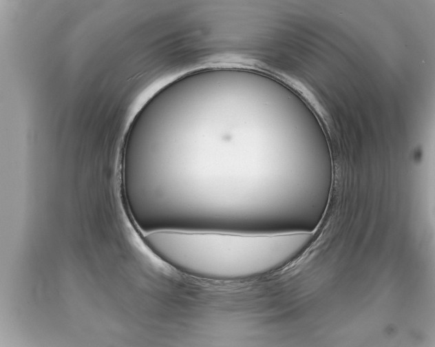 X0000094171387200710260859