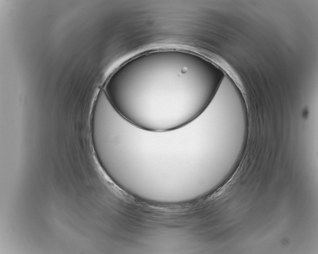 X0000094171388200710260859