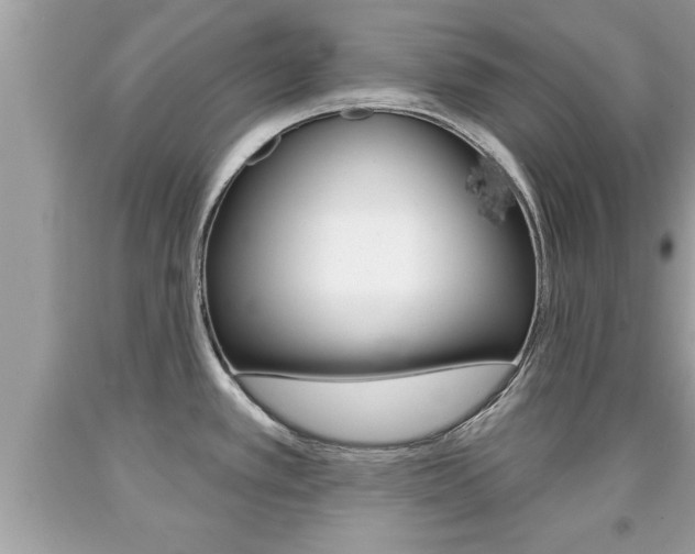 X0000094171389200710260859