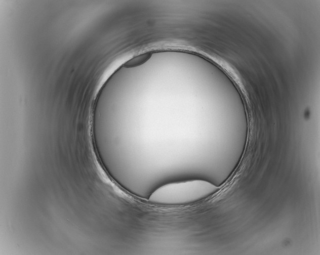 X0000094171390200710260859