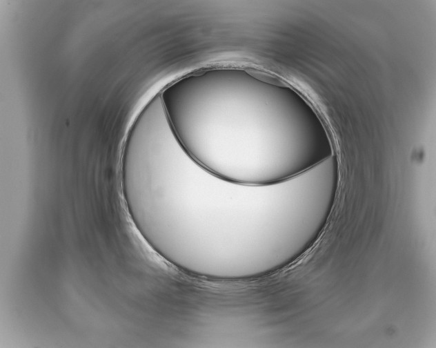 X0000094171392200710260859
