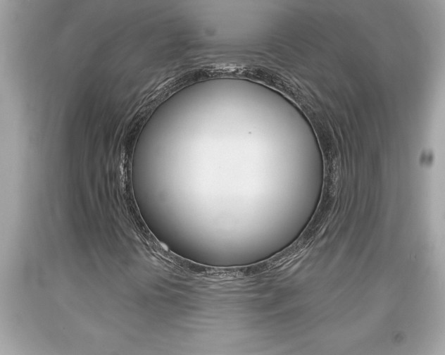 X0000094171394200710260858