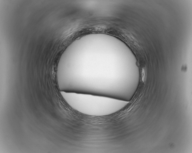 X0000094171395200710260858