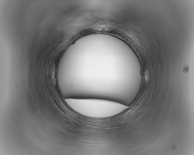 X0000094171396200710260858