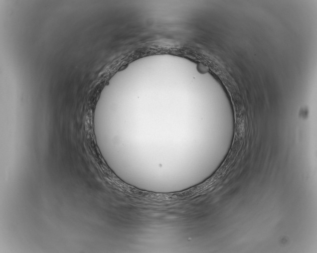 X0000094171397200710260858