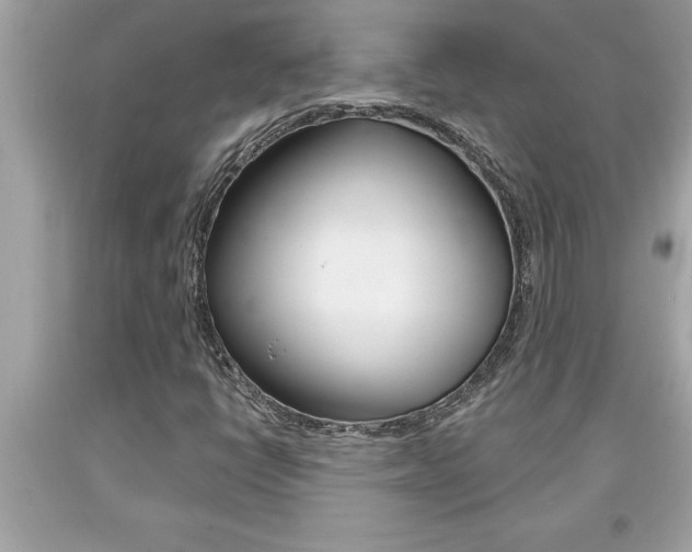 X0000094171398200710260858