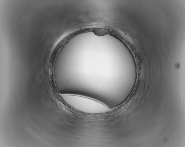 X0000094171400200710260858