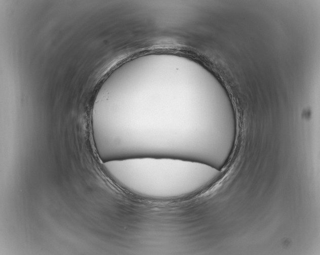 X0000094171401200710260858