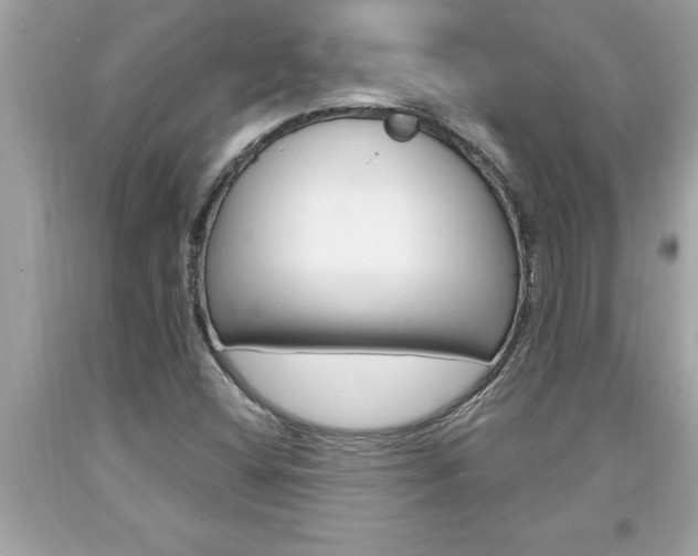 X0000094171404200710260858