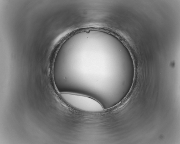 X0000094171406200710260858