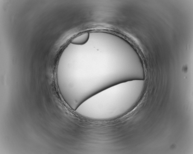 X0000094171407200710260858