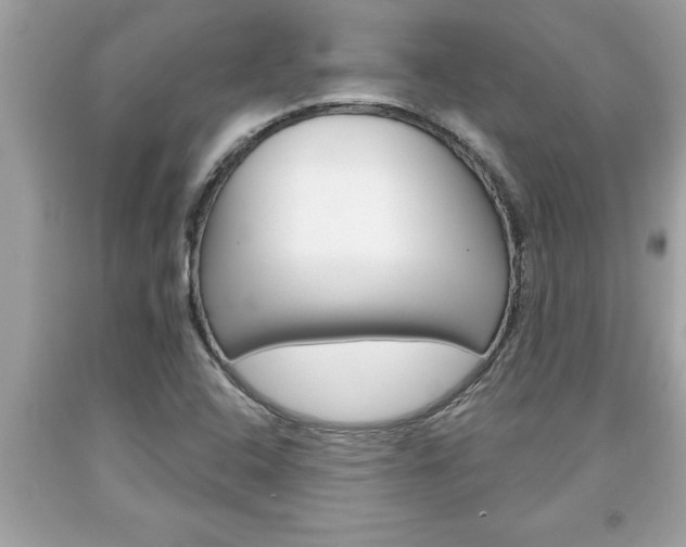 X0000094171408200710260858
