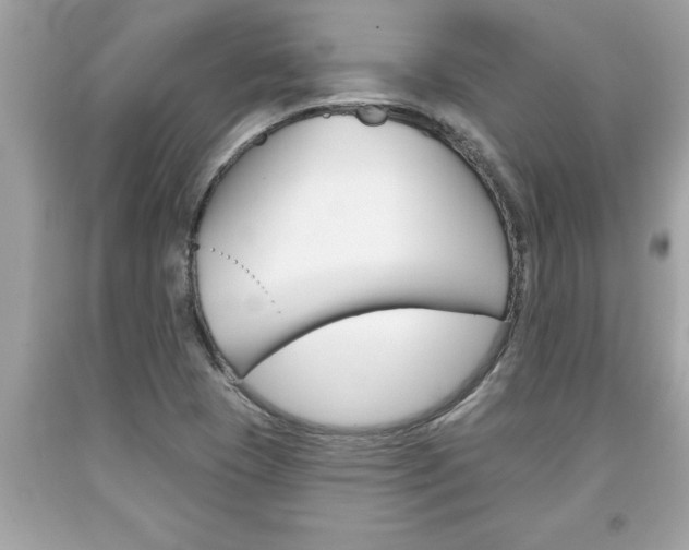 X0000094171409200710260858