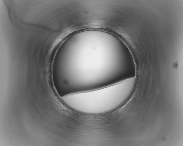 X0000094171410200710260858