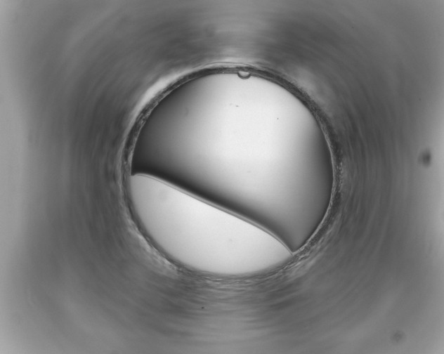 X0000094171412200710260859