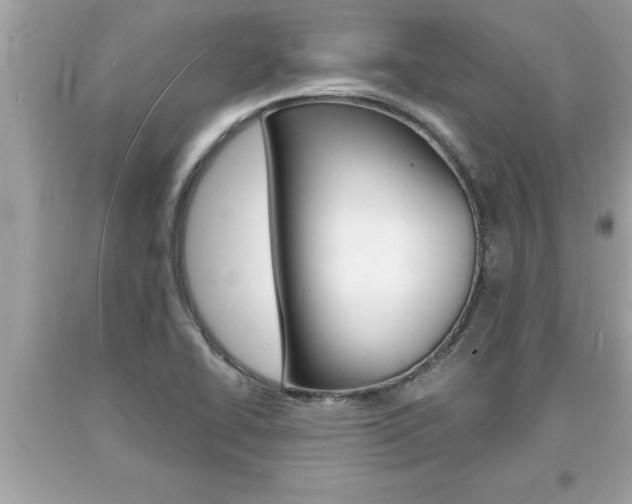 X0000094171414200710260859