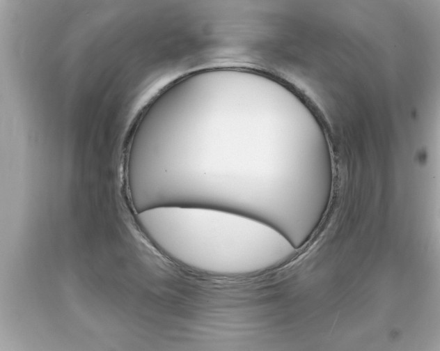 X0000094171415200710260859