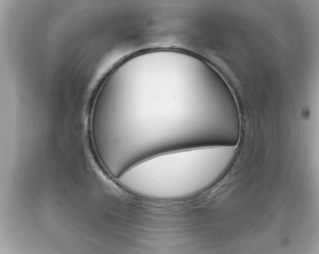 X0000094171416200710260859
