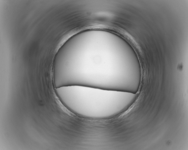 X0000094171417200710260859