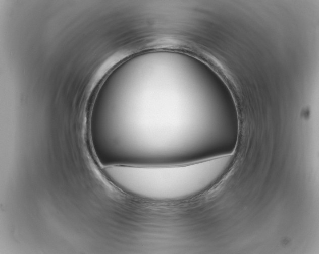 X0000094171418200710260859