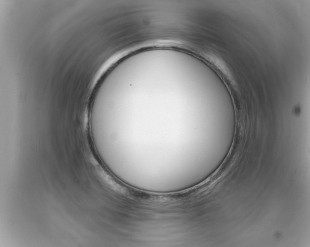 X0000094171420200710260859