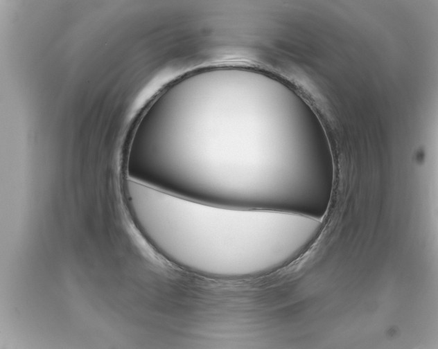 X0000094171422200710260859
