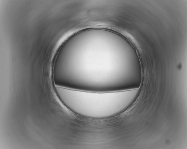 X0000094171424200710260859