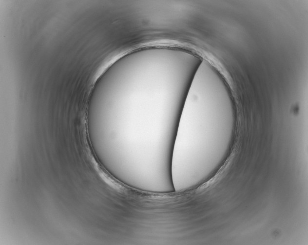 X0000094171425200710260859