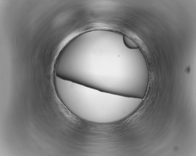 X0000094171427200710260859