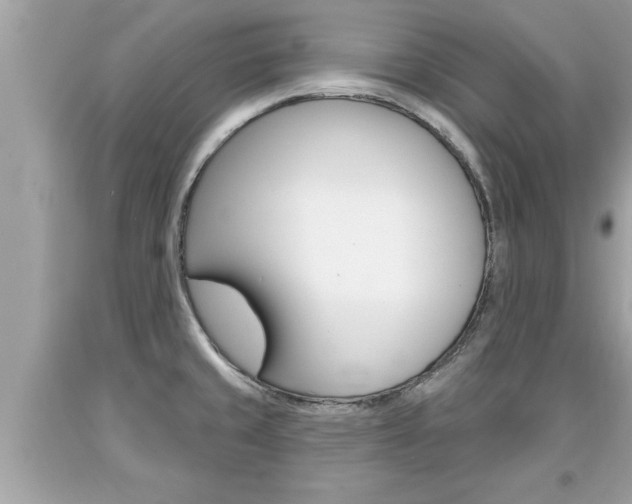 X0000094171429200710260859